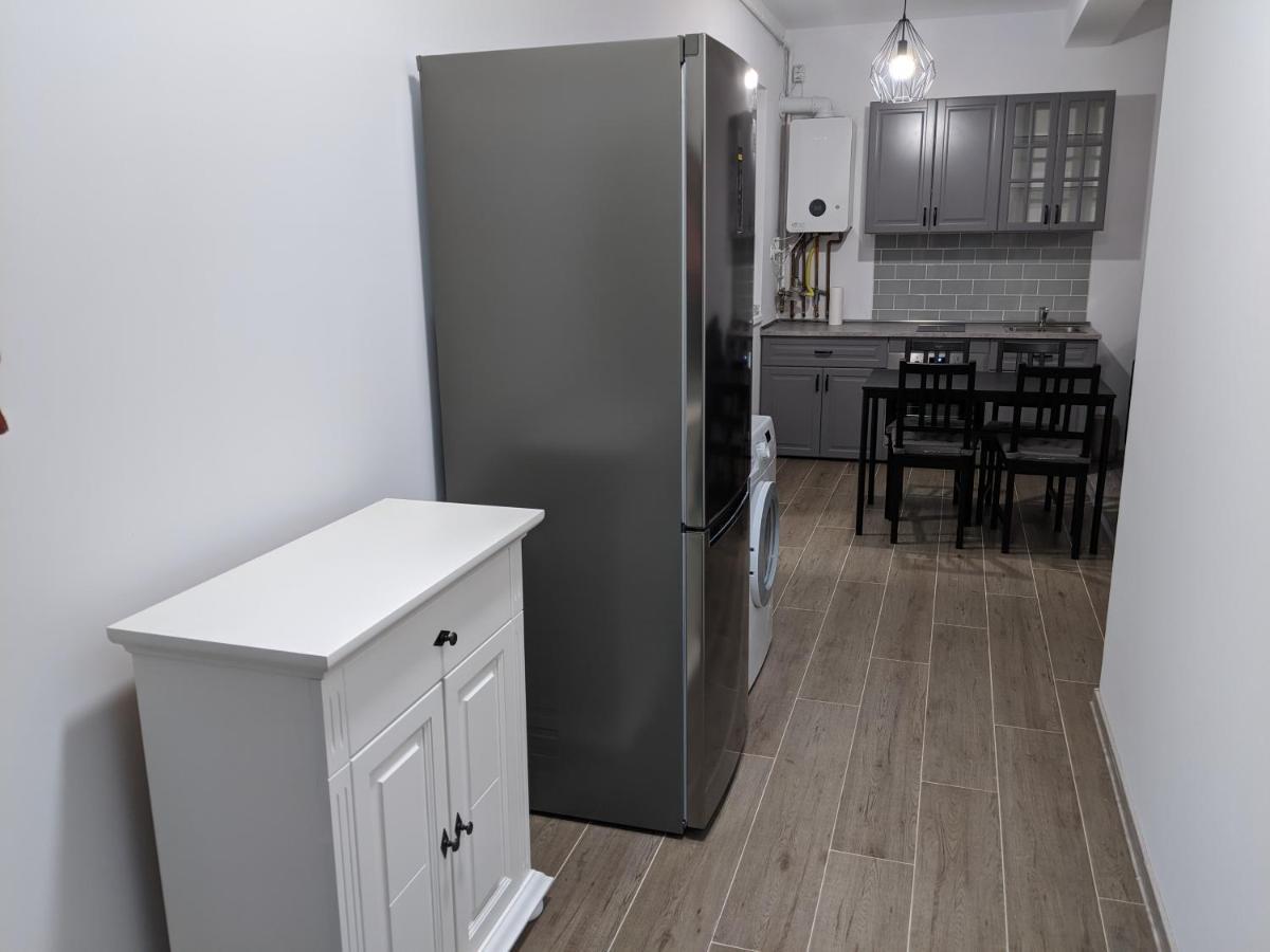 Alina'S Deluxe Apartment And Free Private Parking Dumbravita  Exterior foto
