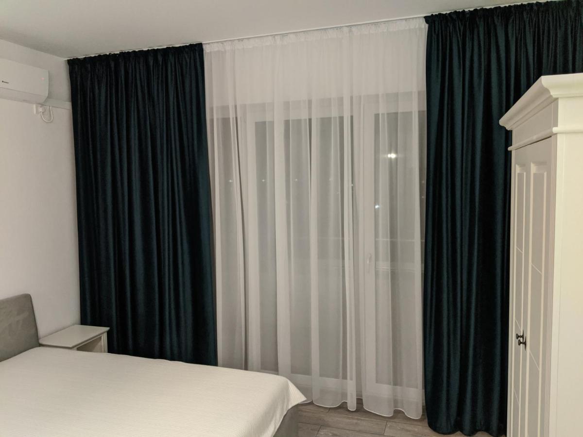 Alina'S Deluxe Apartment And Free Private Parking Dumbravita  Exterior foto